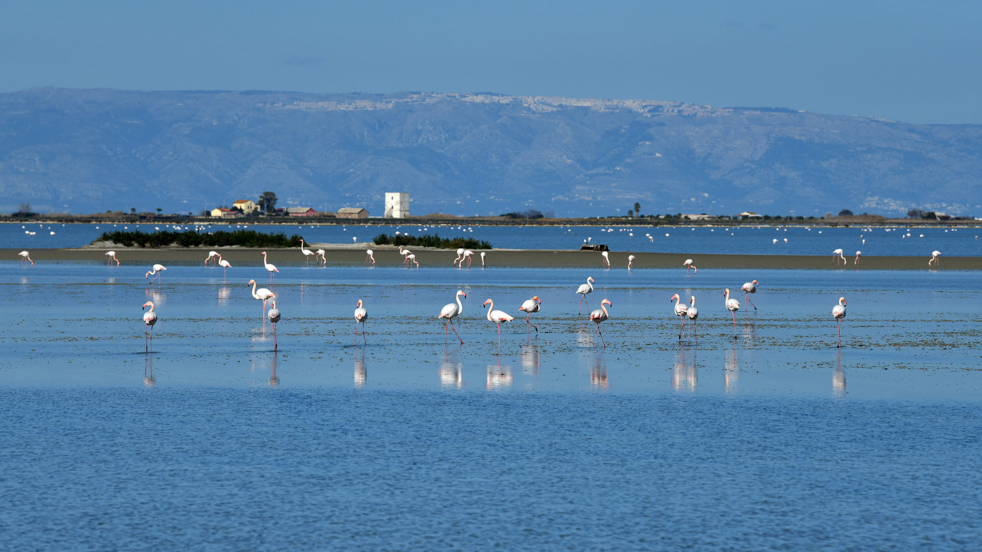 Salina di Margherita di Savoia